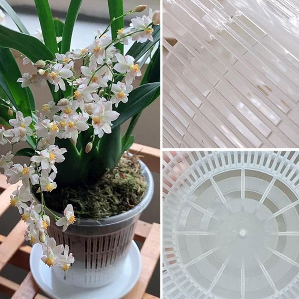 Aloe Vera Pot - メッシュポット根制御透明植木鉢花用通気性成長コンテナ排水穴蘭ポット 110/140/160/190 ミリメートル