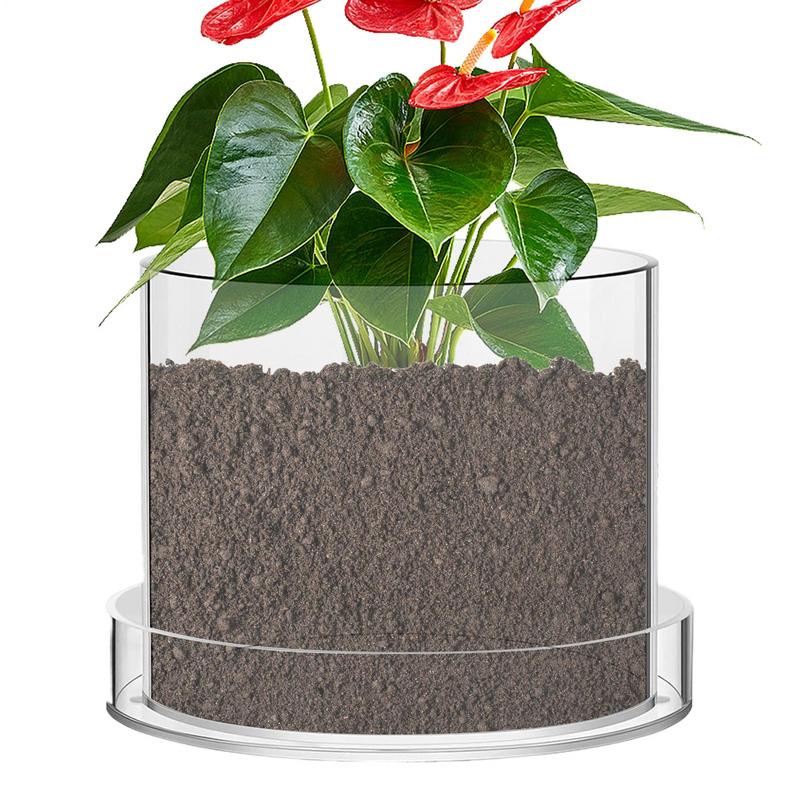Aloe Vera Pot - 排水付き透明植木鉢植物用透明ポッティング容器再利用可能なアクリルカップソーサー苗用排水付きトレイ