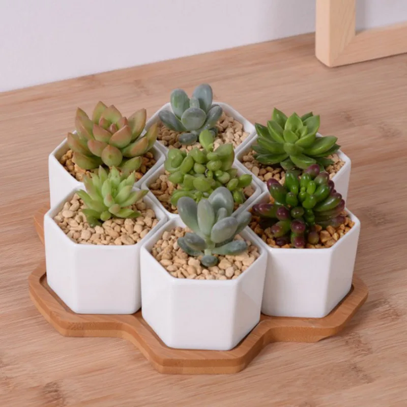 Aloe Vera Pot - 装飾用の白いセラミック植木鉢,4/7/9/10のハーブポットのセット,フランスの家,オフィス,クリスマス用の植木鉢