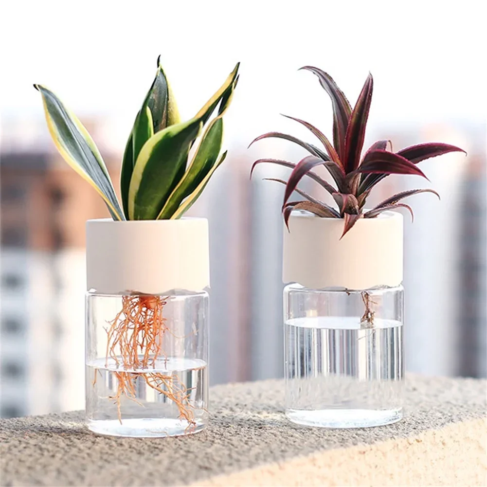 ミニ水耕栽培フラワーポット透明土なし植木鉢家の装飾模造ガラス - Aloe Vera Pot のレビューと価格