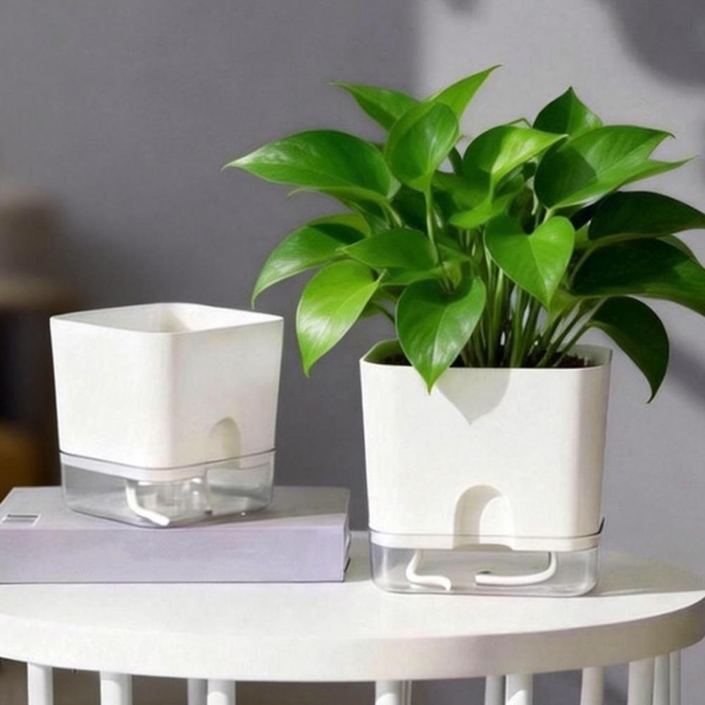 自動給水植木鉢 自動給水フラワーポット 室内植物用鉢 水切り - Aloe Vera Pot のレビューと価格