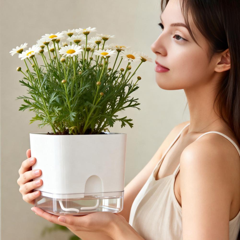 自動給水植木鉢 自動給水フラワーポット 室内植物用鉢 水切り - Aloe Vera Pot のレビューと価格