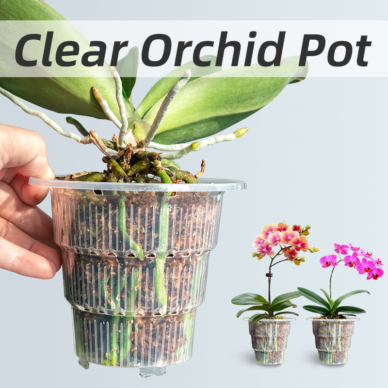 メッシュポット透明プラスチック蘭ポット穴と受け皿付き小さな蘭 - Aloe Vera Pot のレビューと価格