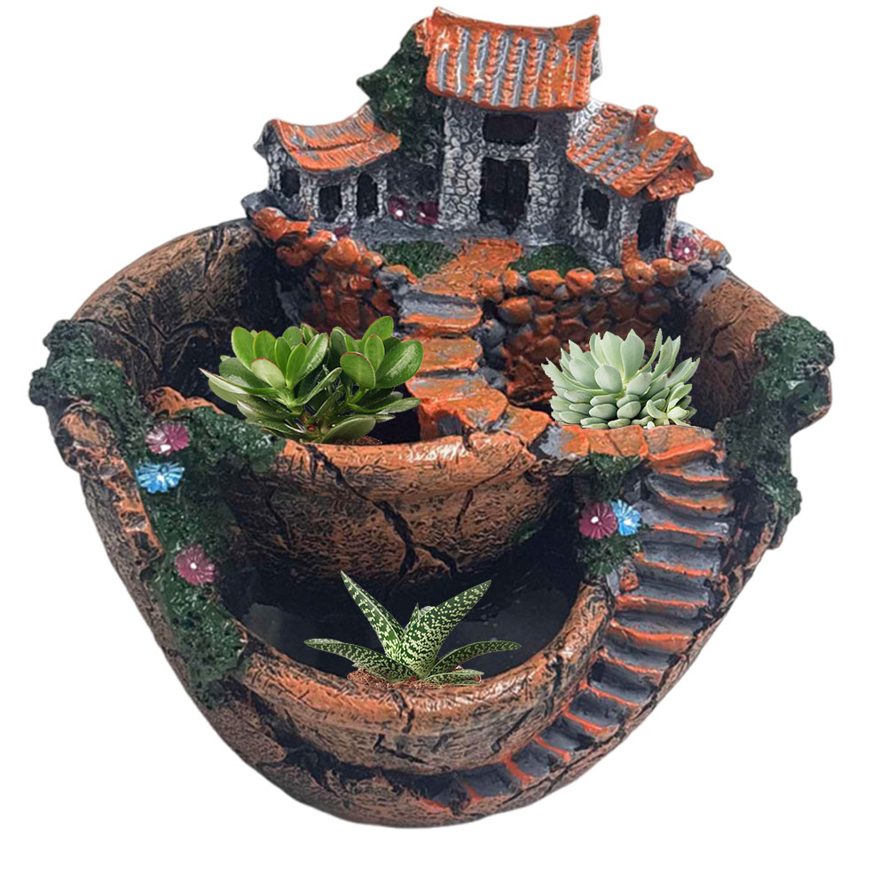 多肉植物鉢 ヴィンテージ マルチポット プランター 装飾用小 - Echeveria Succulent のレビューと価格