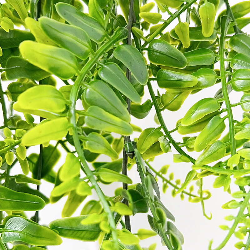 90 センチメートルペルシャシダの葉つるホームルームの装飾ぶ - Monstera Adansonii のレビューと価格