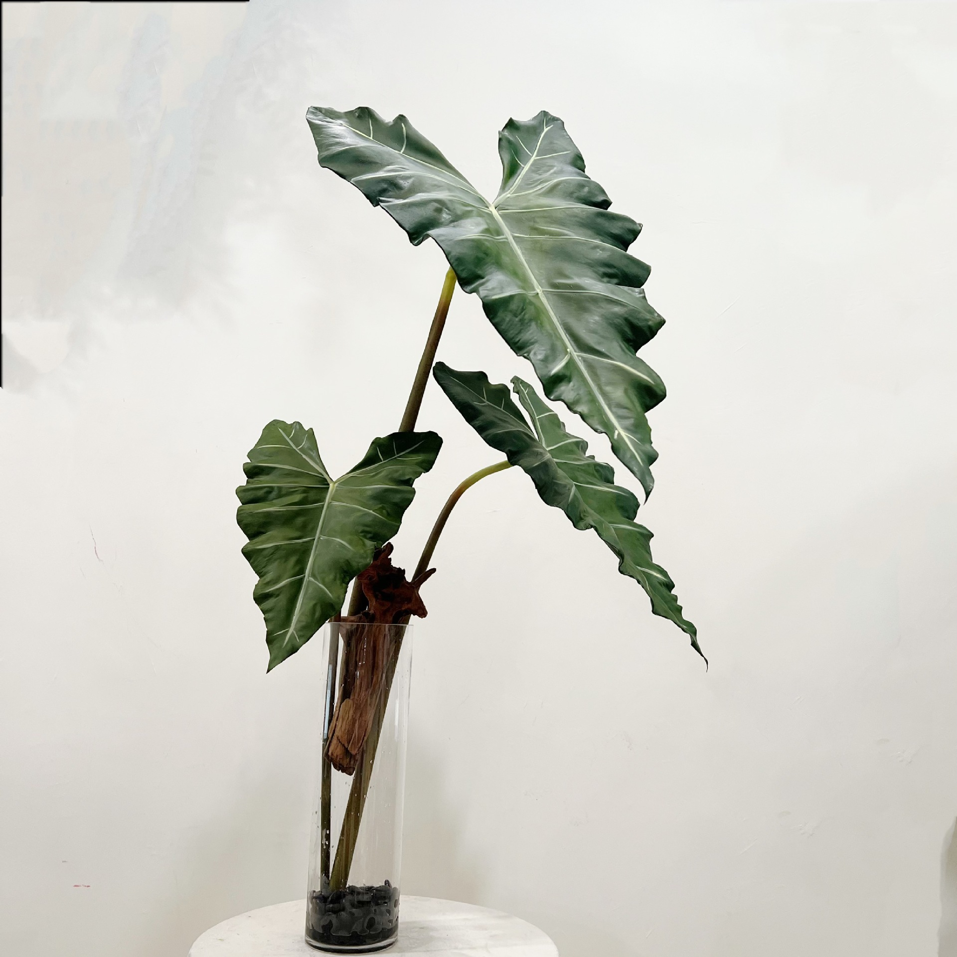 人工の長い人工緑の植物,人工の葉,室内装飾用,パーティーテー - Monstera Adansonii のレビューと価格