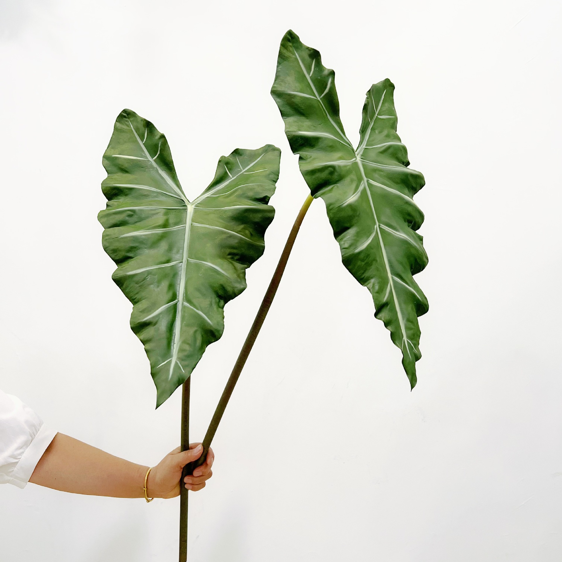 人工の長い人工緑の植物,人工の葉,室内装飾用,パーティーテー - Monstera Adansonii のレビューと価格