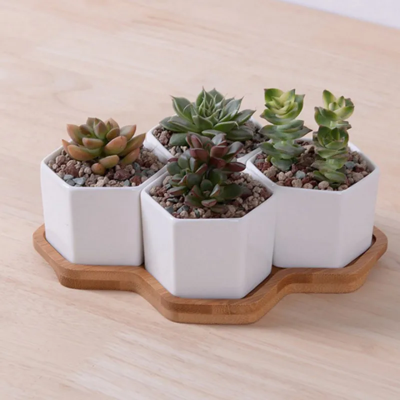 装飾用の白いセラミック植木鉢,4/7/9/10のハーブポット - Aloe Vera Pot のレビューと価格