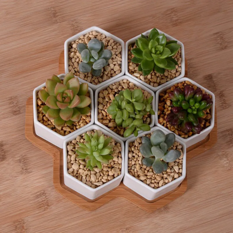 装飾用の白いセラミック植木鉢,4/7/9/10のハーブポット - Aloe Vera Pot のレビューと価格