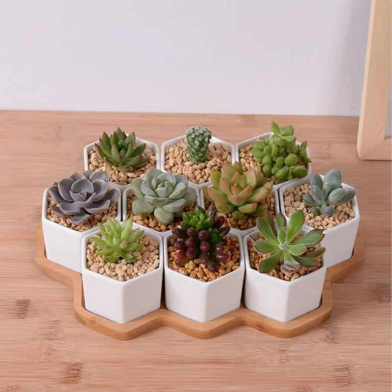 装飾用の白いセラミック植木鉢,4/7/9/10のハーブポット - Aloe Vera Pot のレビューと価格